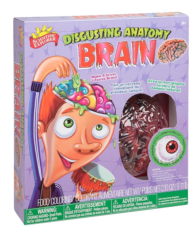 Scientific Explorer Disgusting Anatomy Brain, Multi Color