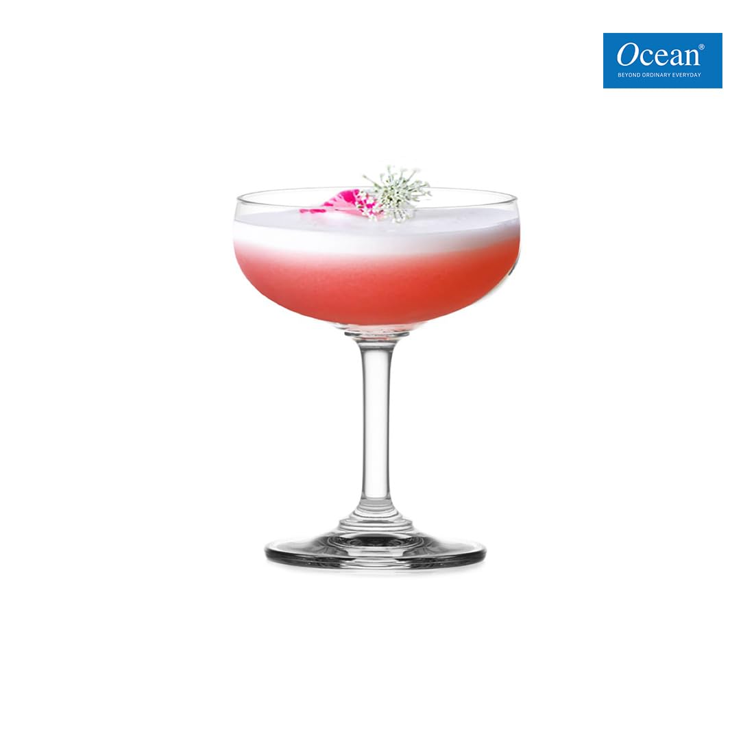 Ocean Glass Classic Saucer Champagne Set - Transparent, 135ml - Set of 6 Stylish Glasses for Celebrations, Kitchen Accessories Or Gifting | Perfect for Sparkling Wine, Cocktails, or Desserts