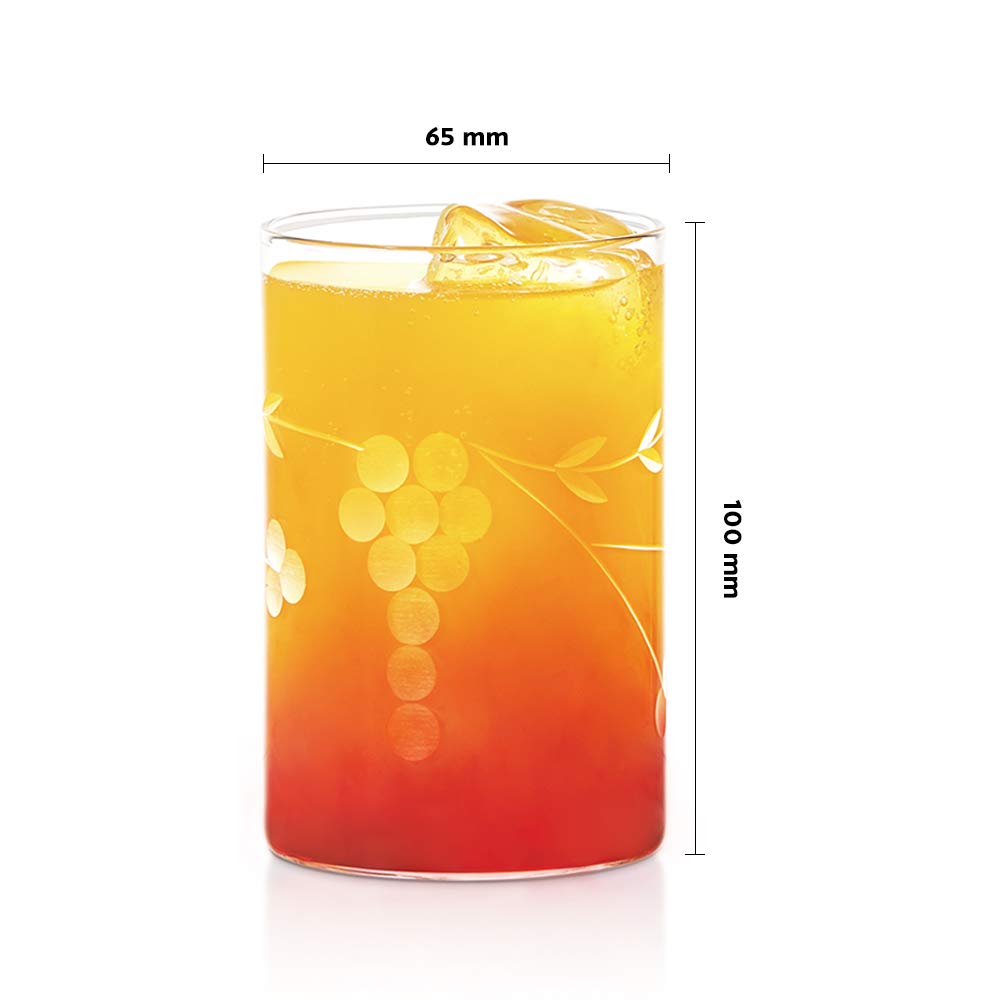 Borosil 295ml 6pc Vision Berry Cut Design Medium Drinking Glass Set | Made in India Borosilicate Glass Tumblers for Water, Cold Drinks, Juice| Microwave & Dishwasher Safe for Dailyuse & Giftin
