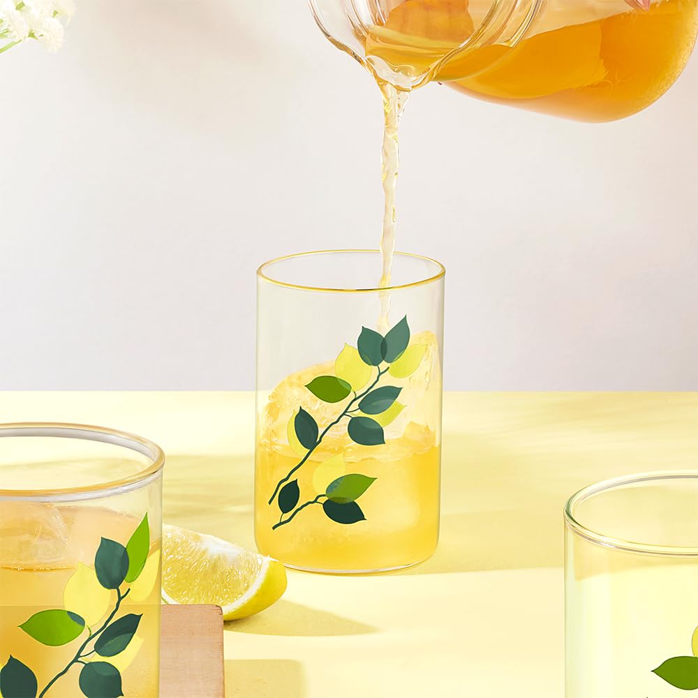 Borosil 295 ml Set of 6 pcs Green Leaves Vision Transparent Glass | Cold Drink Tumbler, Beer Glass, Juice Glass | Flame Proof Glasses | Microwave & Dishwasher Safe | Glass Drinking Tumbler