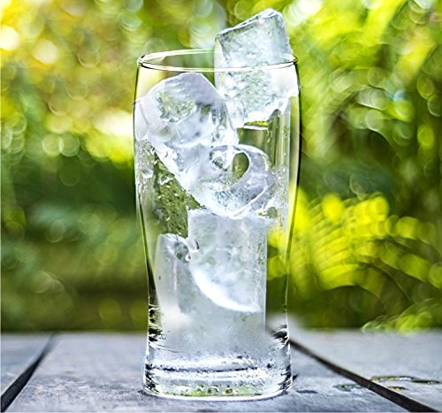 Treo by Milton Rose Bell Glass Set of 6, 250 ml