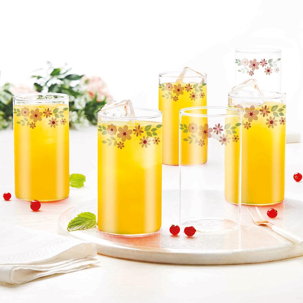 Borosil 295ml Ayana Vision 6pc Transparent Drinking Glass | Borosilicate Glass Tumblers for Water, Cold Drinks, Juice | Flame Proof, Microwave & Dishwasher Safe | for Daily use & Gifting
