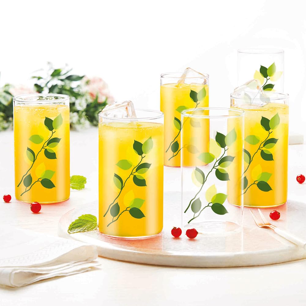 Borosil 295 ml Set of 6 pcs Green Leaves Vision Transparent Glass | Cold Drink Tumbler, Beer Glass, Juice Glass | Flame Proof Glasses | Microwave & Dishwasher Safe | Glass Drinking Tumbler