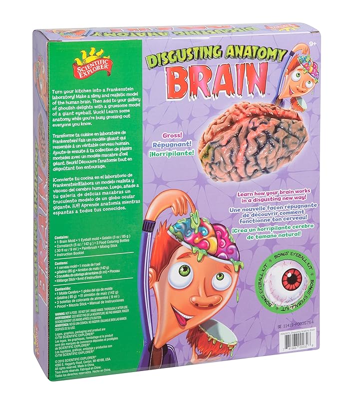 Scientific Explorer Disgusting Anatomy Brain, Multi Color