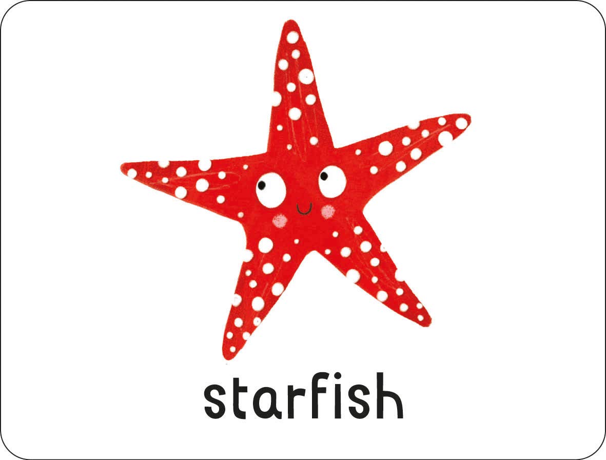 Lots to Spot Flashcards: Under the Sea!