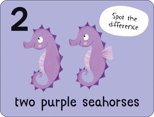Lots to Spot Flashcards: Under the Sea!
