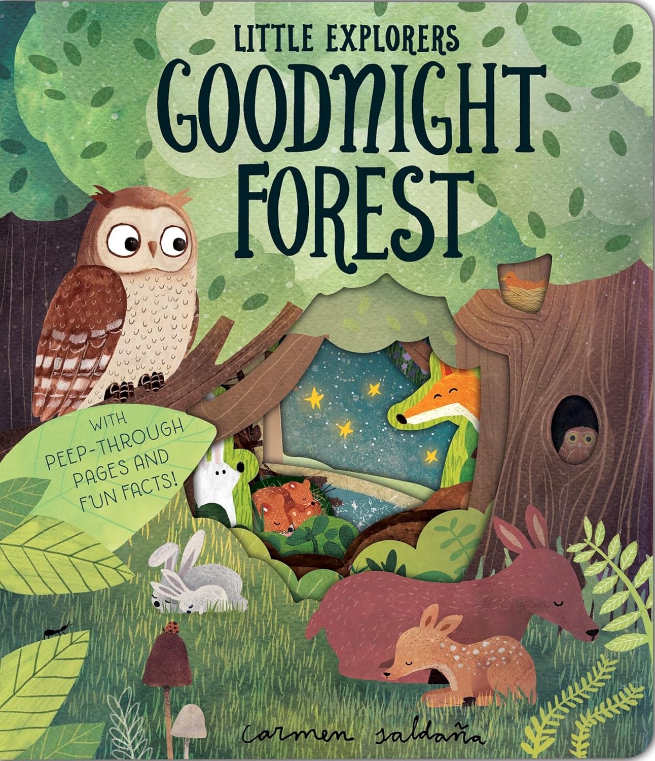 Goodnight Farm (Little Explorers)