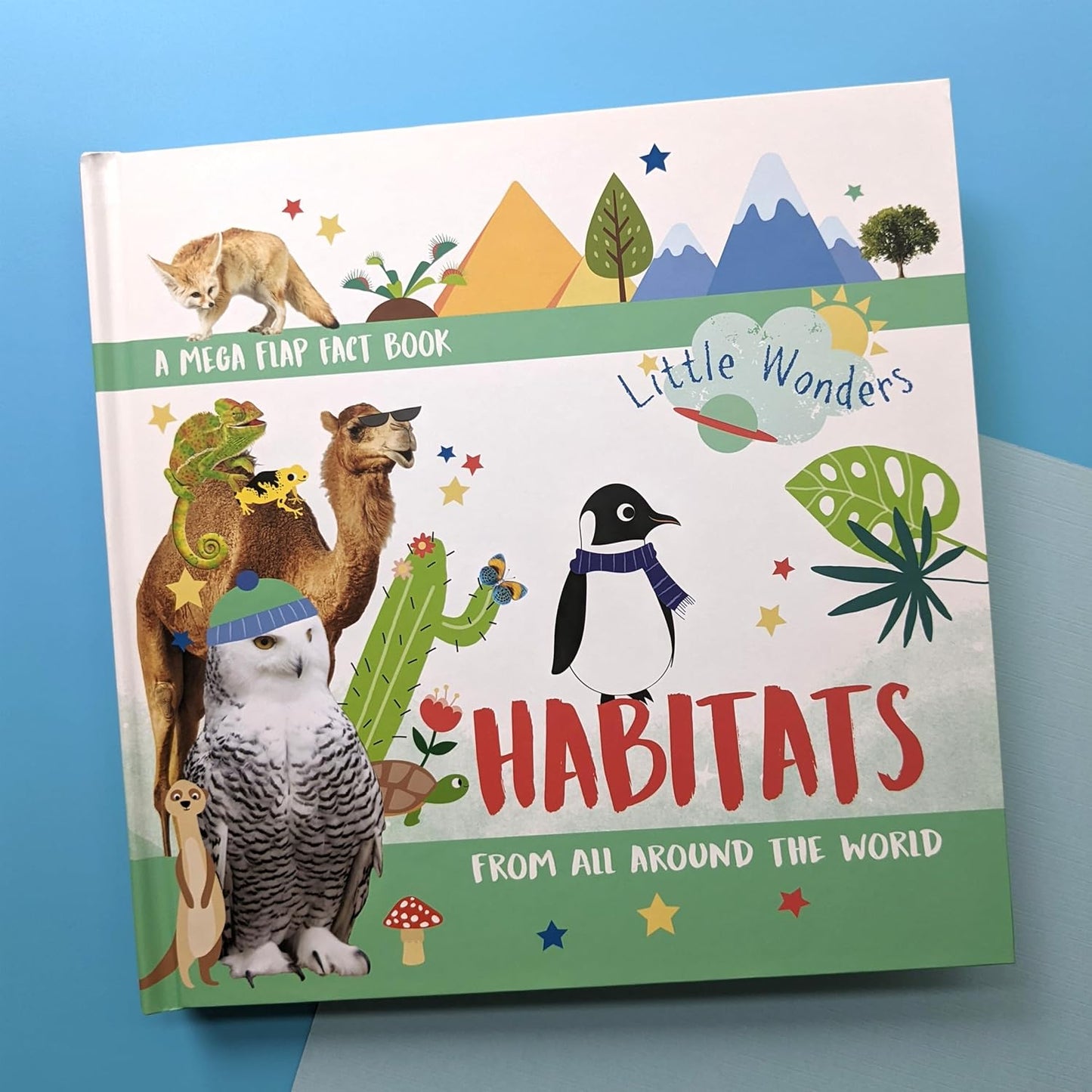 Habitats: From All Around the World (Little Wonders Mega Flap Fact Board Book)
