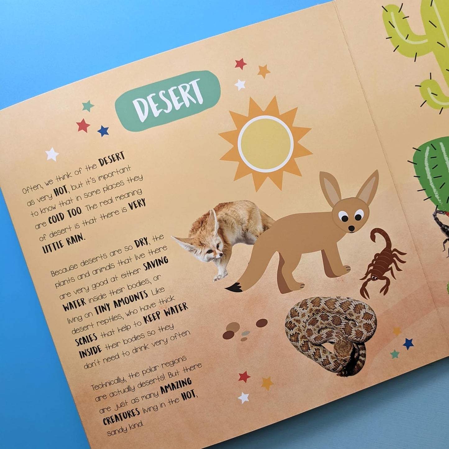 Habitats: From All Around the World (Little Wonders Mega Flap Fact Board Book)