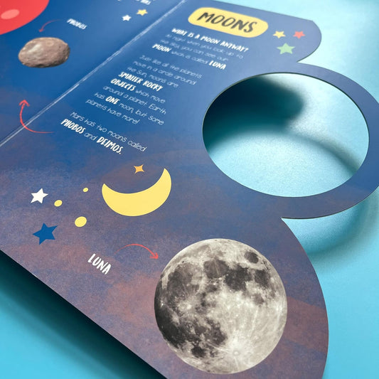 Habitats: From All Around the World (Little Wonders Mega Flap Fact Board Book)